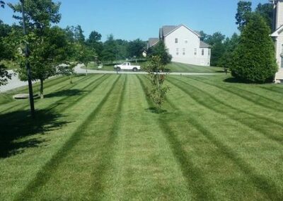 Lawn Care Removal Bryans Road MD
