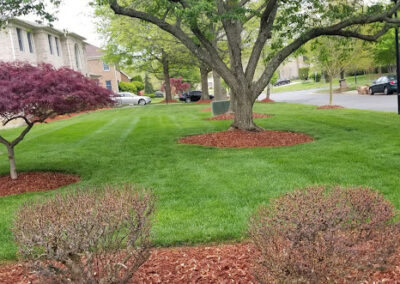 Lawn Care Services Bryans Road MD