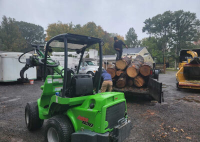 Tree Removal Bowie MD