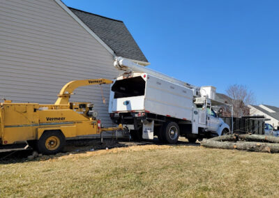 Tree Removal Indian Head MD