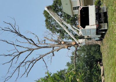Tree Removal Services Bryans Road MD
