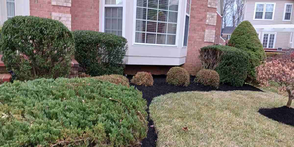 Can You Lay Mulch After Rain? Benefits and Mulching Tips