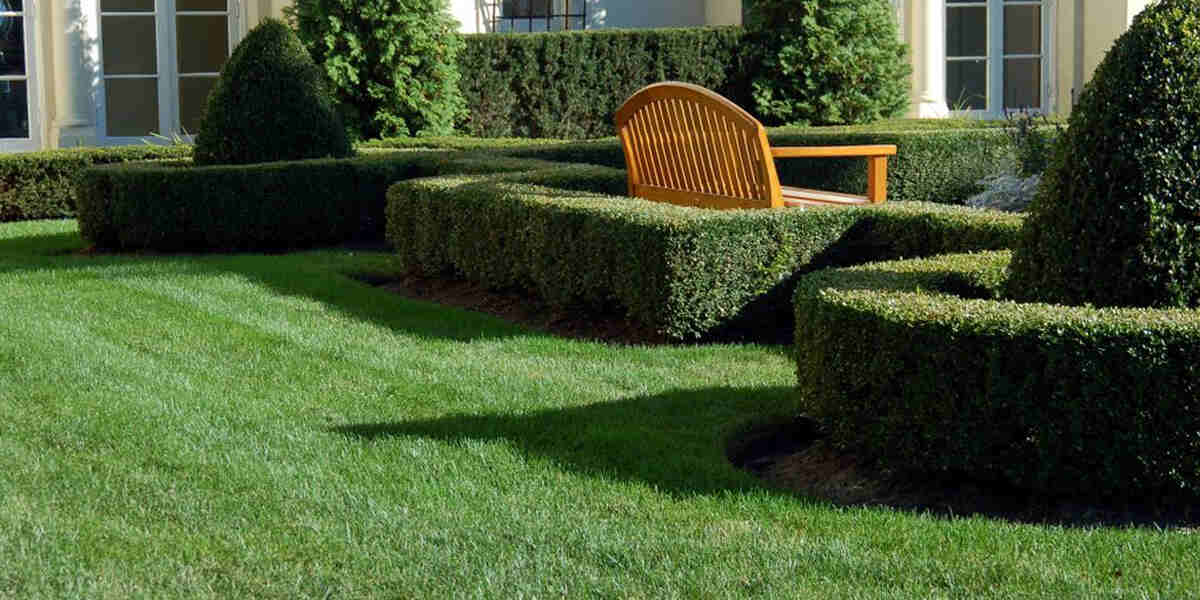 curb appeal tree service curb appeal tree service