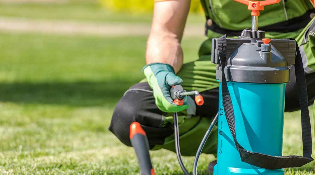 Does Liquid Lawn Aeration Improve Clay Soil in Indian Head, MD?