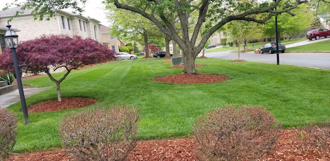 How Deep Should Mulch Be?