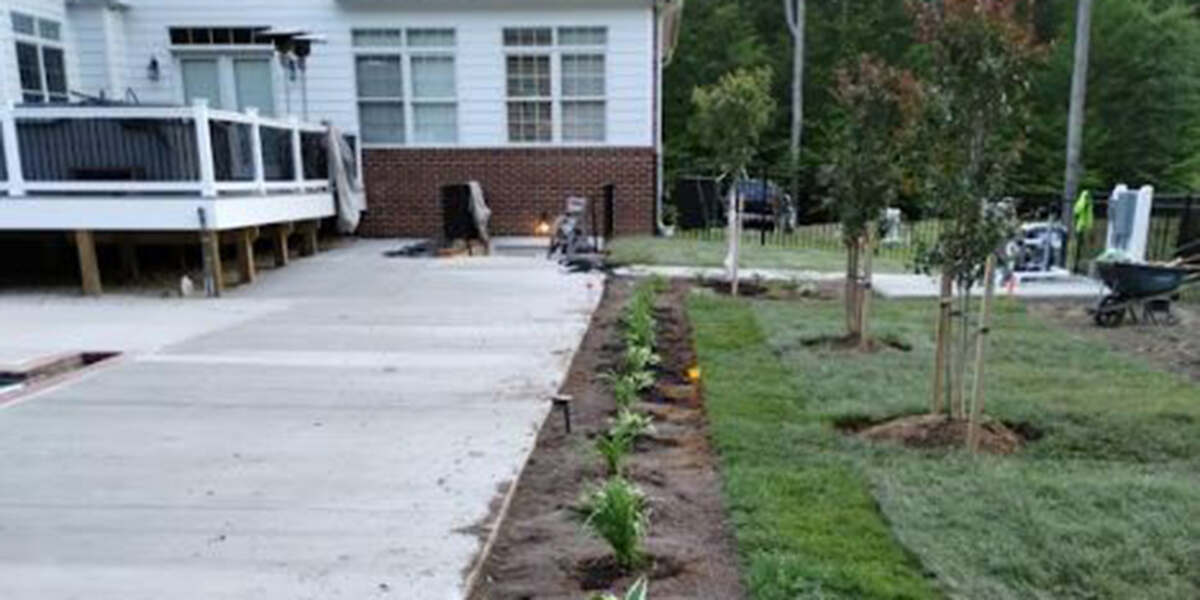 How Long Does It Take a Tree to Grow? Guide to Tree Growth