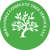 Hernandez Complete Tree Service