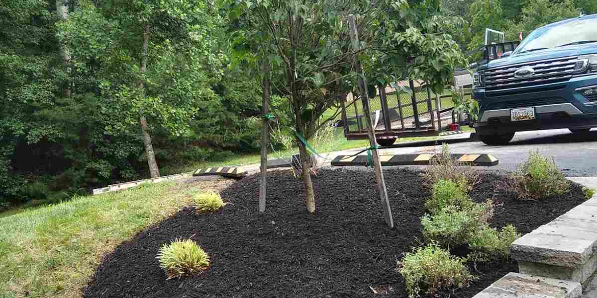 Should Old Mulch Be Removed? When to Replace Old Mulch