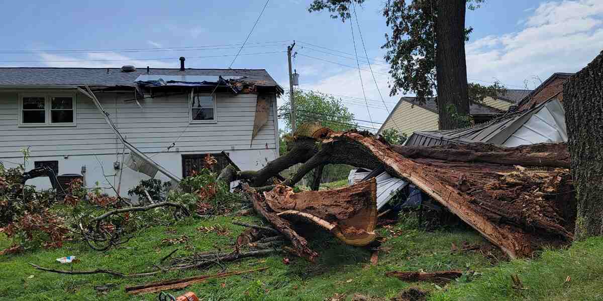 What to Do About a Tree Hit by Lightning in Brandywine, MD