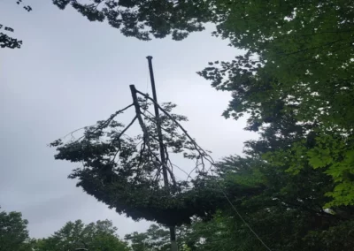 A tree being removed during tree service in CLinton, MD