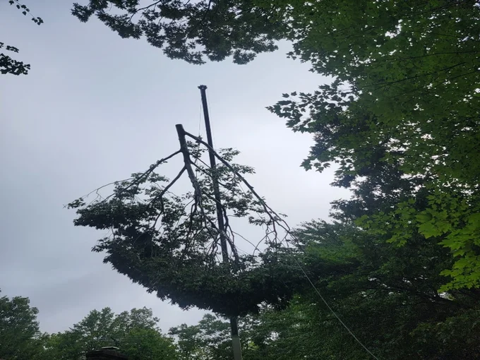 A tree being removed during tree service in CLinton, MD